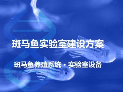 斑马鱼实验室建设与设备系统