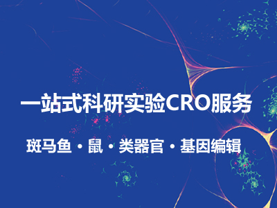 一站式科研实验CRO服务