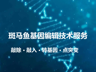 斑马鱼基因编辑服务