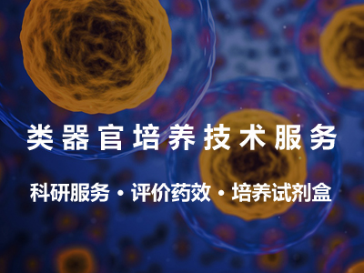 类器官服务-培养试剂盒