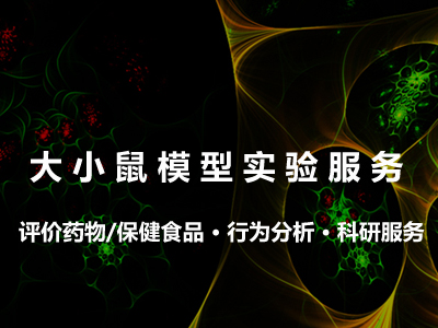 大小鼠模型实验服务