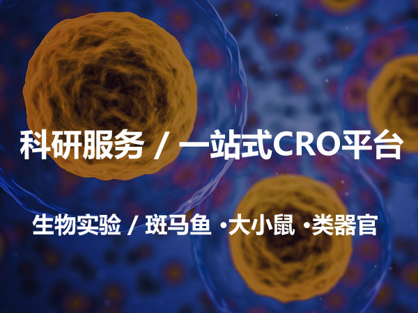 一站式科研CRO服务/ 基于斑马鱼-大小鼠-类器官-细胞的科研服务