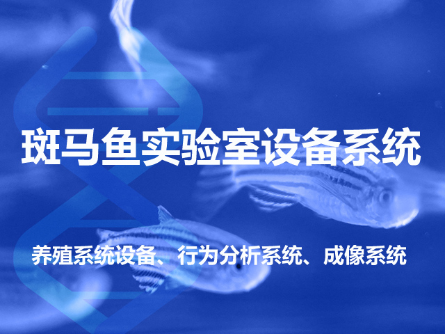 斑马鱼实验室系统设备：养殖/行为分析/成像等设备系统