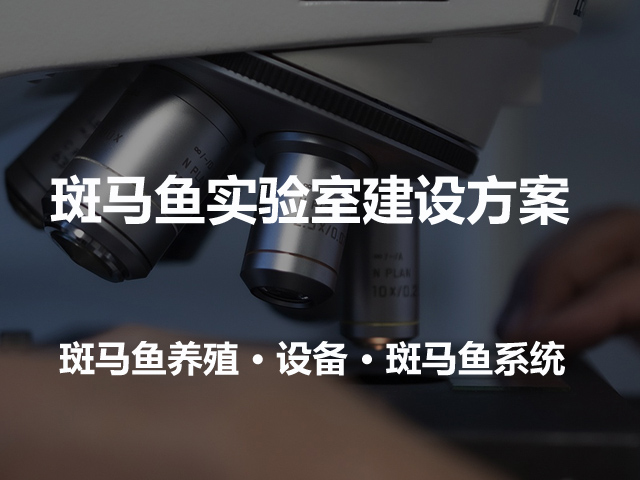 斑马鱼实验室建设/斑马鱼养殖系统设备/一站式解决方案
