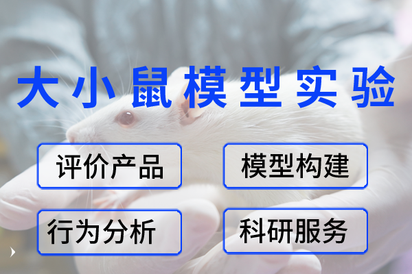 大小鼠模型实验/ 行为分析/ 科研服务/ 产品功效与安全评价