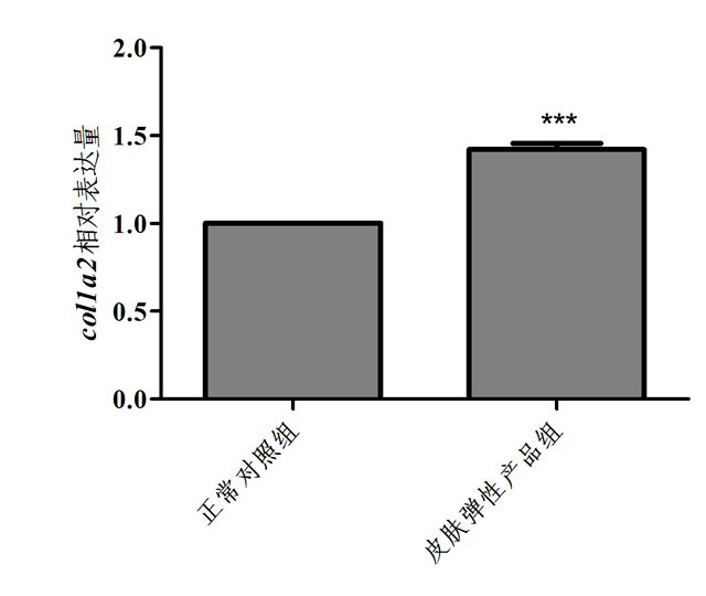 利用斑马鱼模型评价增加皮肤弹性功效