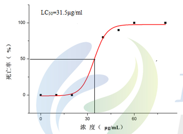 1755583285177369.jpg 2.jpg