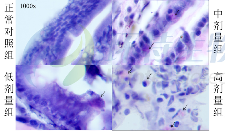 1755583480175791.jpg 2.jpg