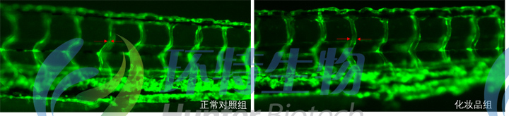 1755583648345285.jpg 1.jpg