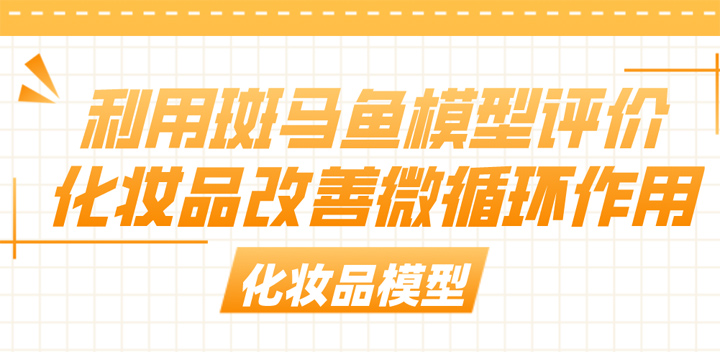 利用斑马鱼模型评价化妆品改善微循环作用