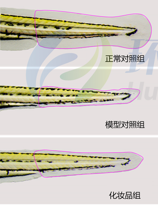 1755583812143068.jpg 1.jpg