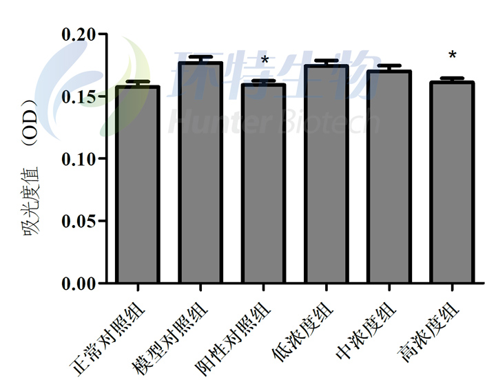 1755583904370422.jpg 1.jpg