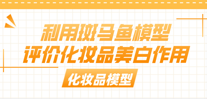 利用斑马鱼模型评价化妆品美白作用