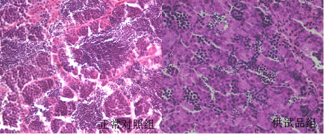 利用斑马鱼模型评价致癌性风险