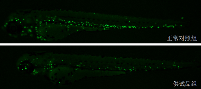 1755666957120711.jpg 1.jpg