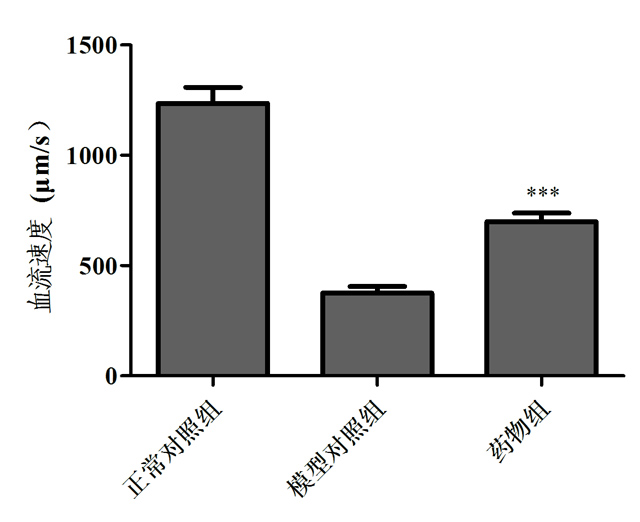 1755667519147546.jpg 2.jpg