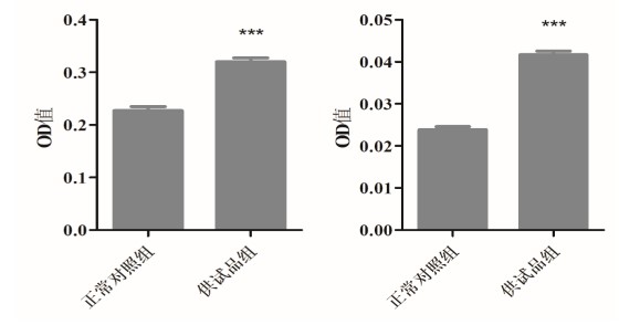 利用斑马鱼模型评价肠道消化功能