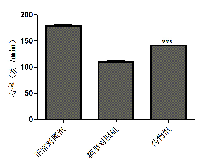 利用斑马鱼模型评价改善心动过缓功效