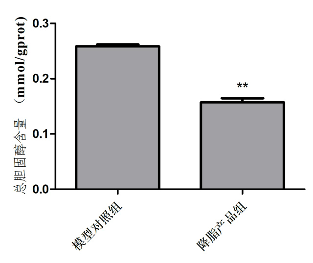 1755668576636157.jpg 2.jpg