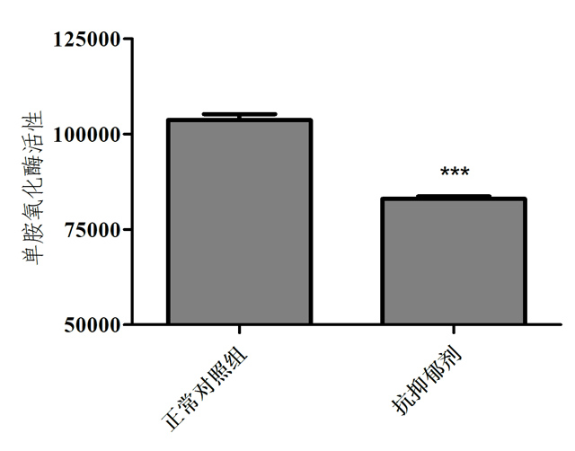 利用斑马鱼模型评价抗抑郁作用