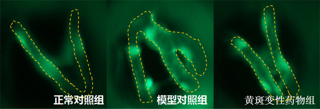 1755669955178018.jpg 1.jpg