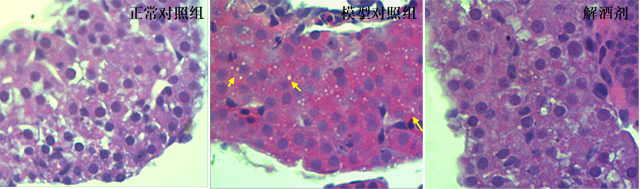 1755671721201719.jpg 1.jpg