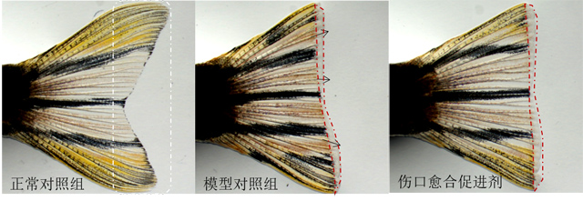 1755672640749428.jpg 01.jpg