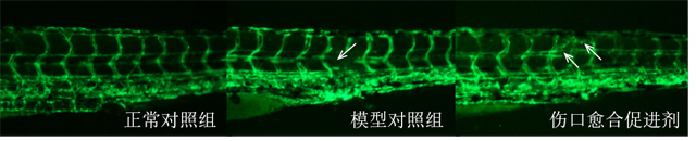 1755672648208021.jpg 1.jpg