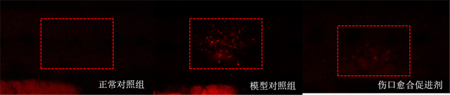 1755672654147671.jpg 2.jpg