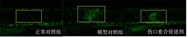 1755672668261802.jpg 4.jpg