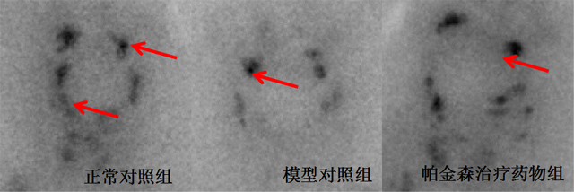 1755673129181725.jpg 01.jpg