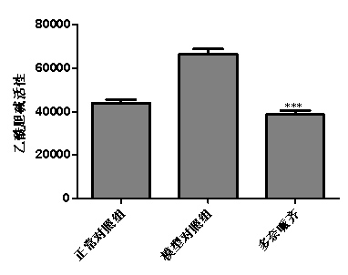 1755673285929938.jpg 2.jpg