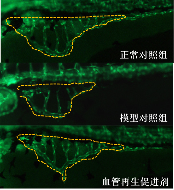 1755673473191839.jpg 01.jpg