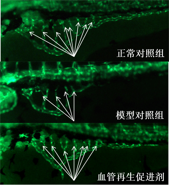 1755673482201068.jpg 1.jpg