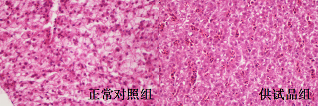 利用斑马鱼模型评价长期毒性