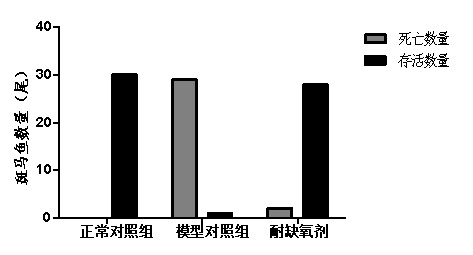 利用斑马鱼模型评价耐缺氧功效