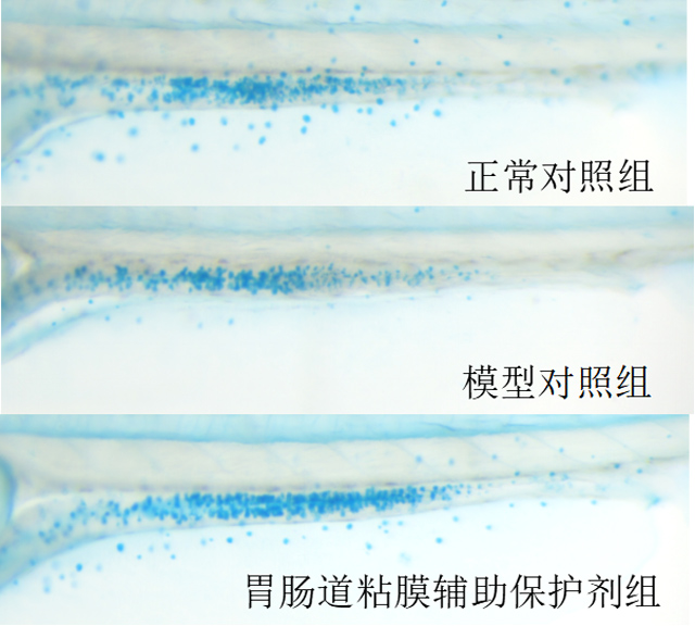 1755677629729447.jpg 2.jpg