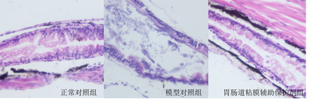 1755677637160036.jpg 3.jpg