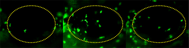 1755832819186835.jpg 1.jpg