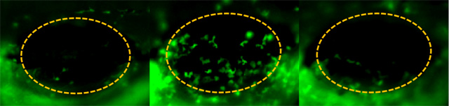 1755832825143407.jpg 2.jpg