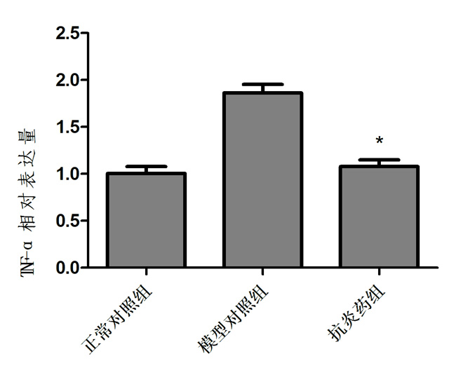 1755832830127869.jpg 3.jpg