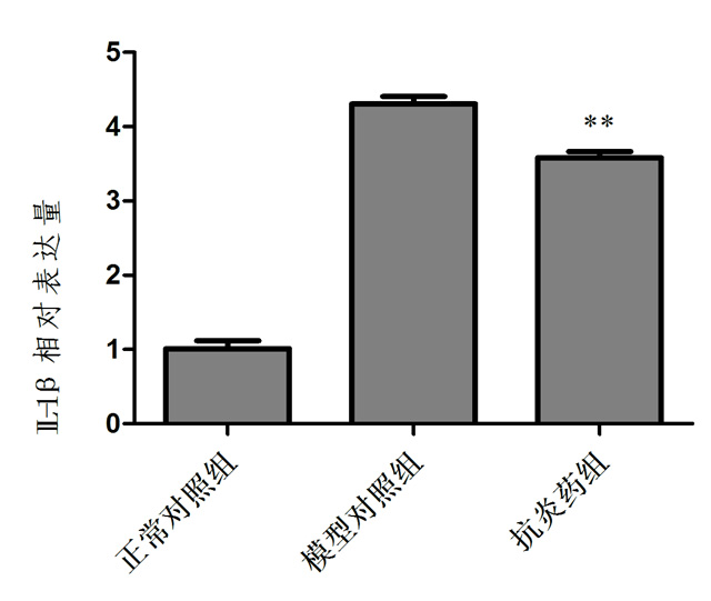 1755832839450775.jpg 4.jpg