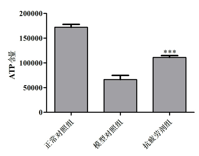 1755833308804074.jpg 3.jpg