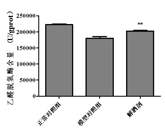 1755833576284575.jpg 2.jpg