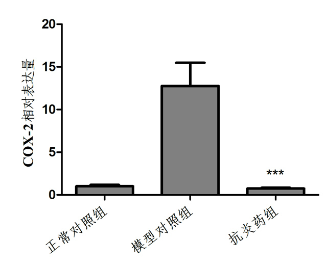 1755833837442043.jpg 2.jpg