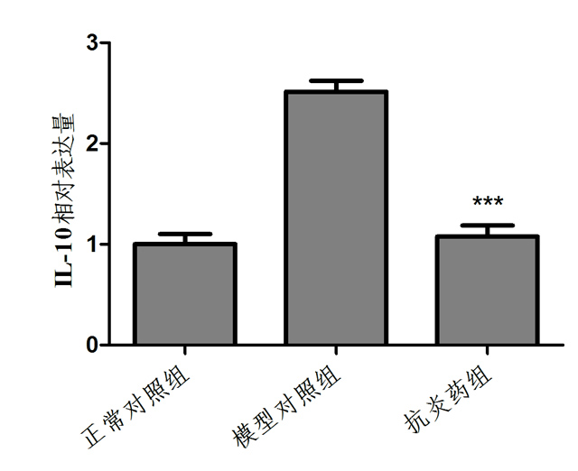 1755833940183276.jpg 2.jpg