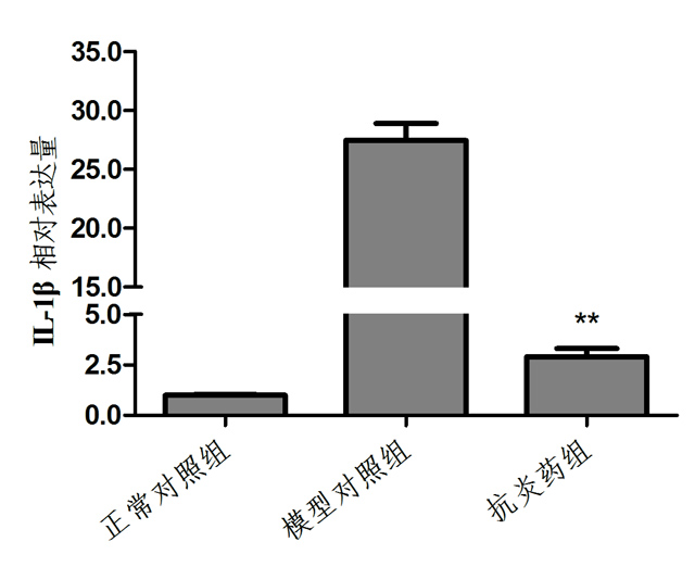 1755834027140661.jpg 1.jpg