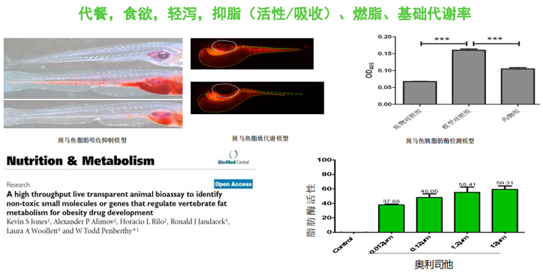 1755834689816007.png 1 (9).png