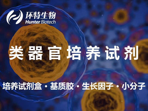 [出售] 类器官培养试剂盒-培养基-基质胶（人/小鼠）