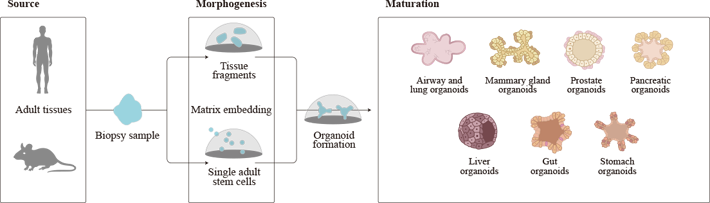 1755841996185901.png 1 (3).png